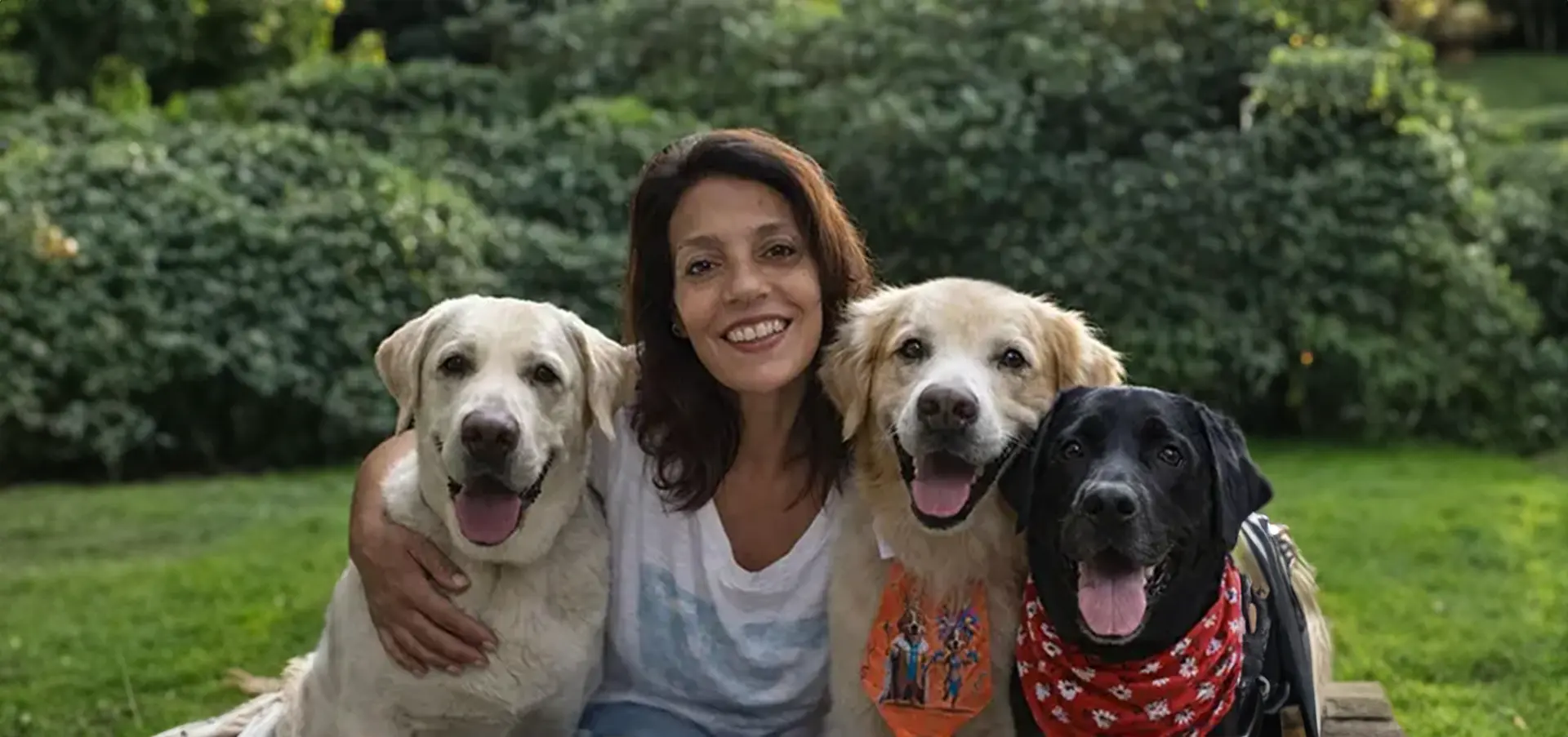 Vida Real da Matilha